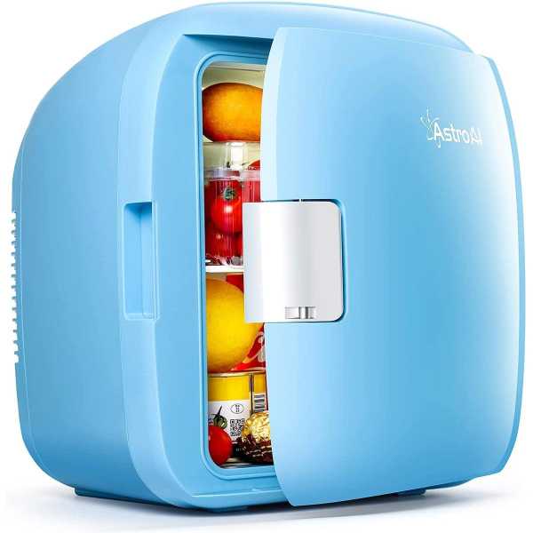 6L/9L Auto Kühlschrank Mit Gefrierfach Mini Kühlschrank Picknick  Kühlschränke Wärme und Kälte Erhaltung für Auto